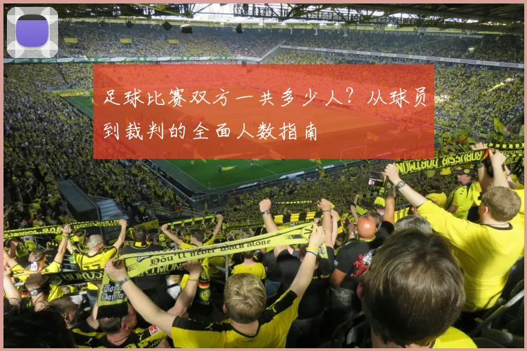 足球比赛双方一共多少人？从球员到裁判的全面人数指南