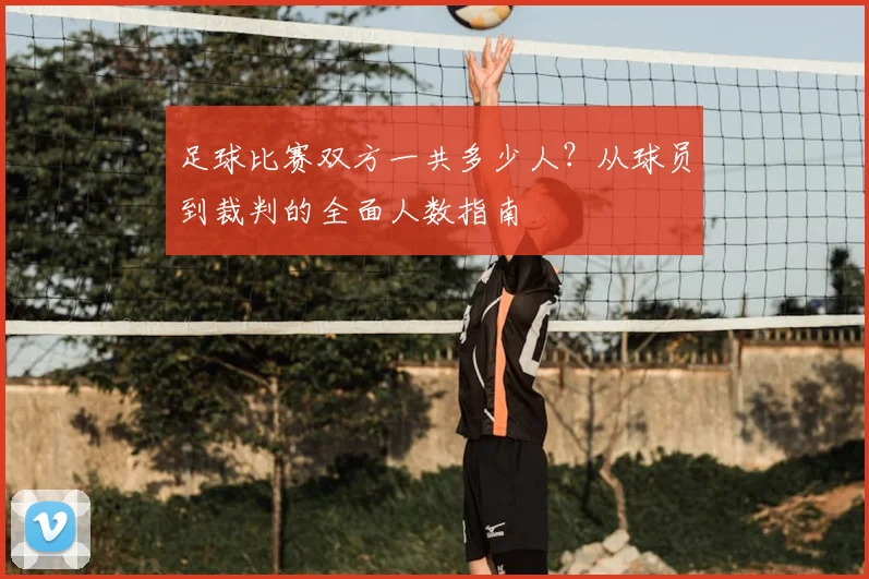 足球比赛双方一共多少人？从球员到裁判的全面人数指南